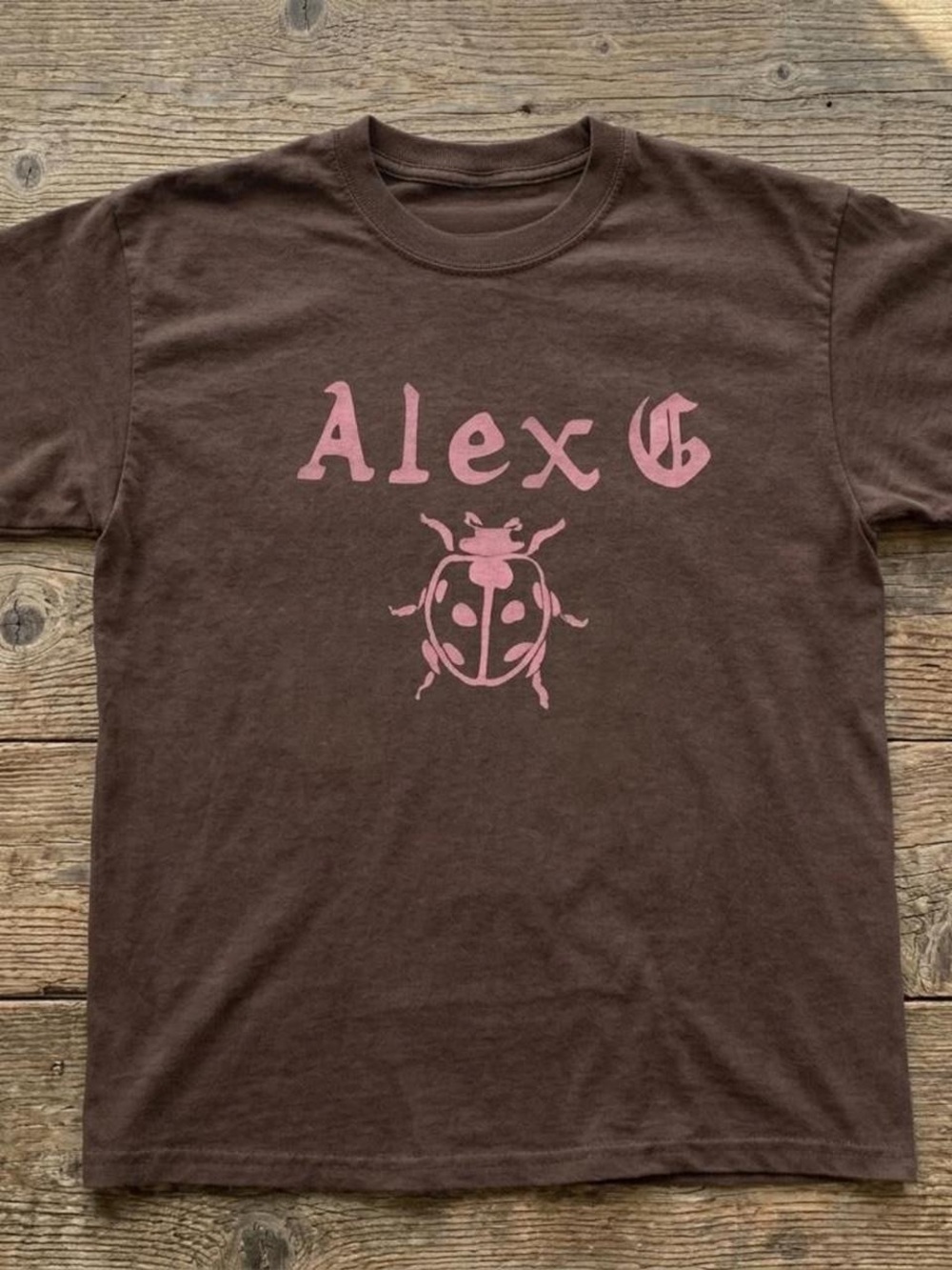 Gildan Brown Tee with Pink Alex G Logo & Ladybug Graphic